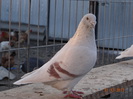 DSC01234