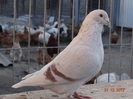 DSC01227