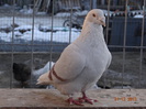 DSC01226