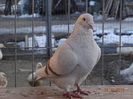 DSC01220