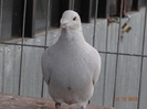 DSC01274
