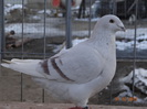 DSC01280