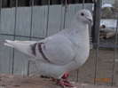 DSC01279