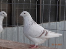 DSC01281