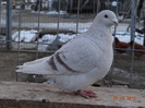 DSC01292