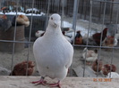 DSC01301