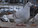 DSC01297