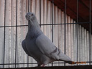 DSC01320