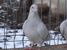 DSC01318