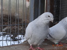 DSC01315