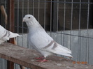 DSC01304