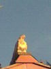 poze august 2012 032