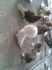 poze august 2012  7
