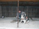 Rocky 1 an jumate