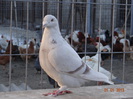 DSC01356