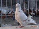 DSC01355