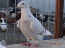 DSC01369
