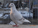 DSC01362