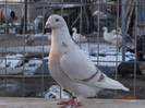 DSC01361