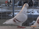 DSC01378