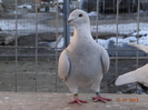 DSC01375