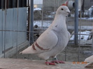 DSC01381