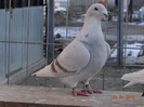 DSC01380