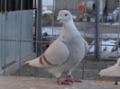 DSC01379