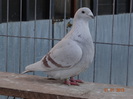 DSC01394