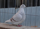 DSC01393
