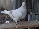 DSC01474