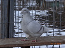 DSC01489