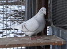 DSC01493