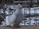 DSC01502