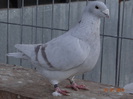 DSC01505