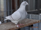 DSC01528