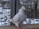 DSC01539