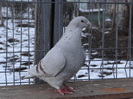 DSC01540