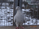 DSC01541