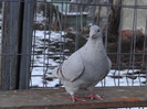 DSC01545