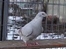 DSC01543