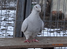 DSC01542