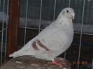 DSC01559