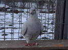 DSC01536