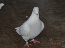 DSC01579