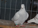 DSC01589