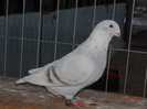 DSC01588