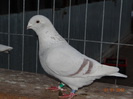 DSC01587