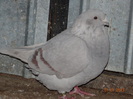 DSC01651