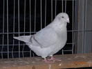 DSC01661